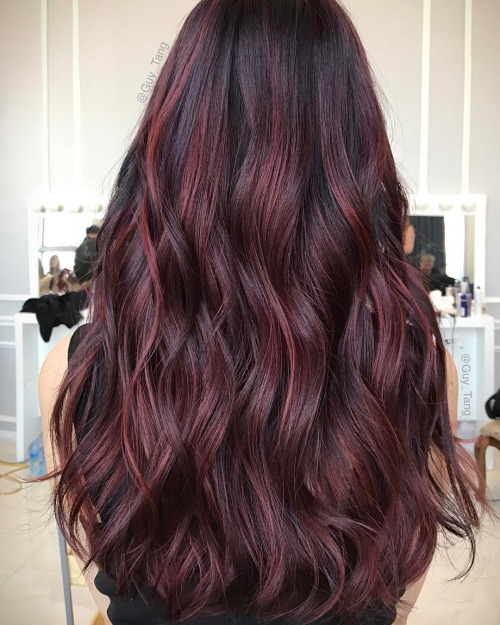Burgundy highlights