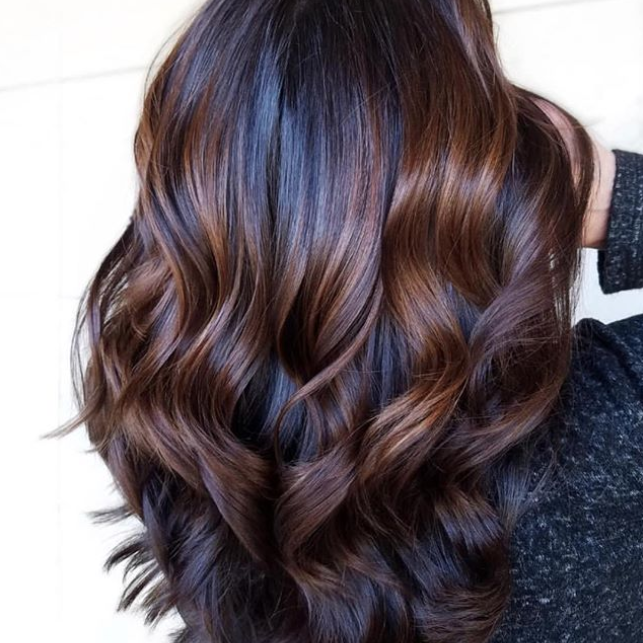Chestnut Highlights