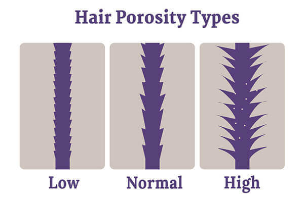 How to grow high porosity hair